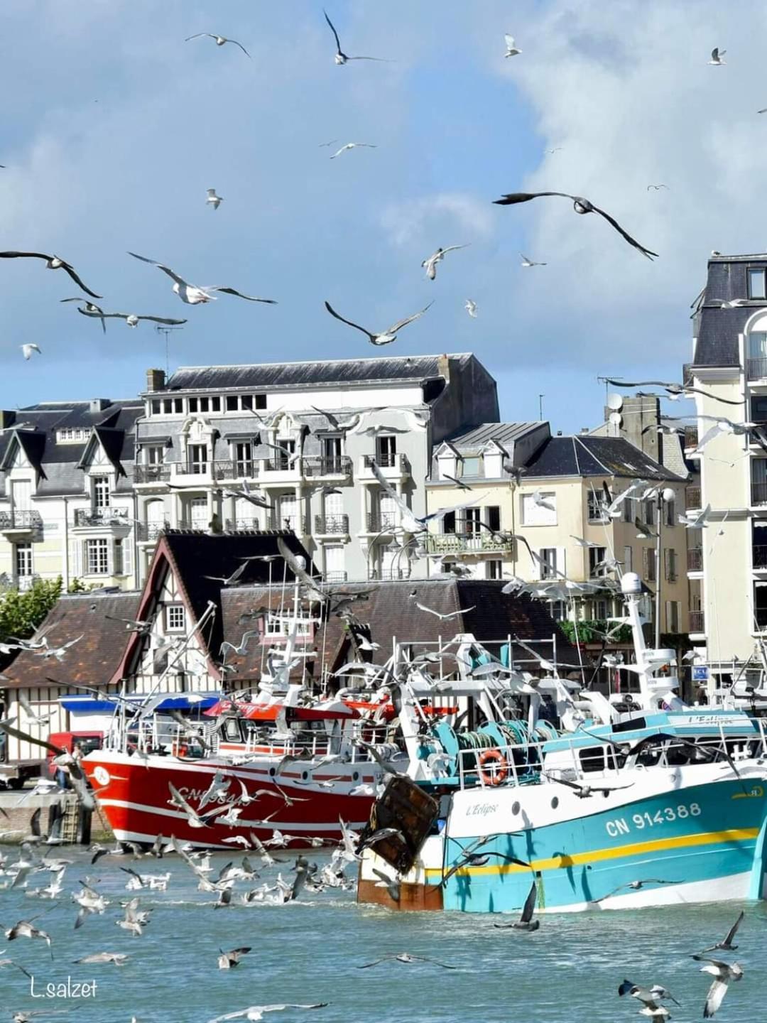 Studio De Charme A Trouville Sur Mer. Dış mekan fotoğraf